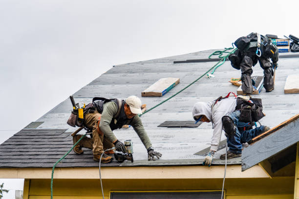 Professional Roof Installation technician working in Wildrose, ND